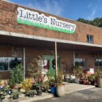 Little’s Nursery: A Verdant Oasis in Greenville, NC
